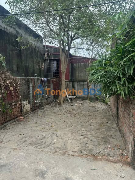 Đất nền Tân Xã Thạch Thất 42m² 3 tỷ - Đường to ô tô