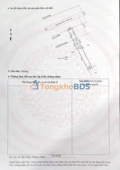 Đất nền 250m² mặt tiền 5m - Đầm Dơi, Cà Mau - Sổ hồng sẵn
