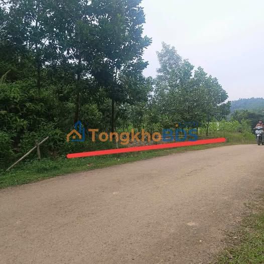 Đất Ngọc Lặc 100m² - Sổ Đỏ Thổ Cư, Bám Đường Nhựa Giá 4xx Triệu