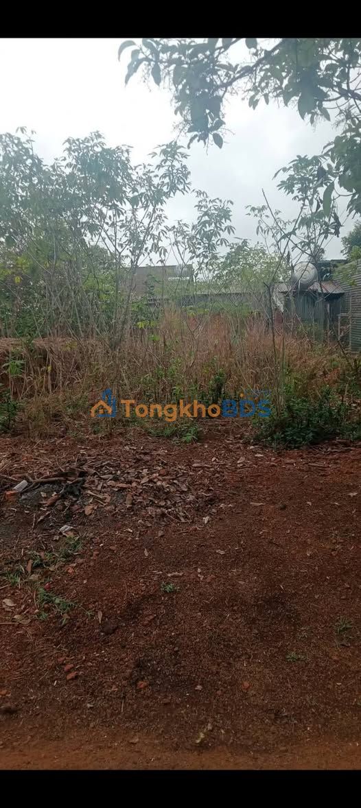 Đất thổ cư Nguyễn Viết Xuân Đắk Mil 216m² - Sổ đỏ chính chủ