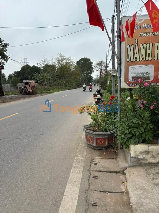 Đất Tam Quang Vũ Thư 100m² giá 1 tỷ - Đường to ô tô