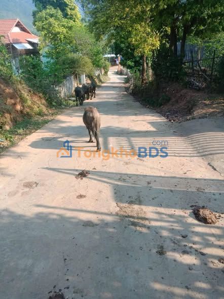 Đất nền Bao La Mai Châu 400m² 4xx triệu - Sổ đỏ chính chủ