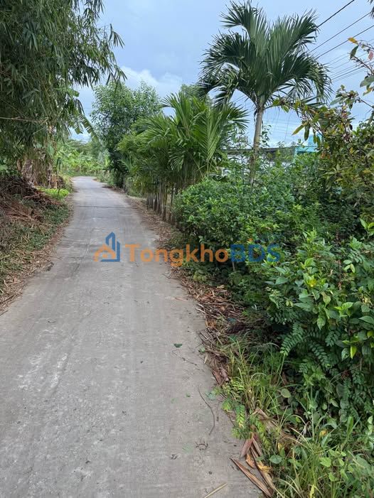 Đất nền Châu Thới 494.6m² 360 triệu - Sổ đỏ chính chủ