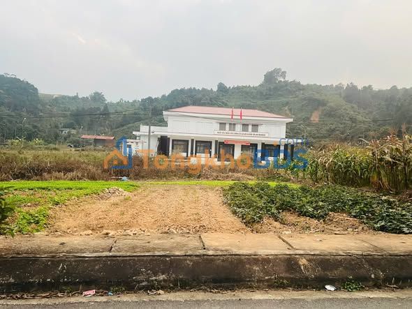 Đất nền Kim Tân Lào Cai 200m² 3 tỷ - Tiềm năng tăng giá