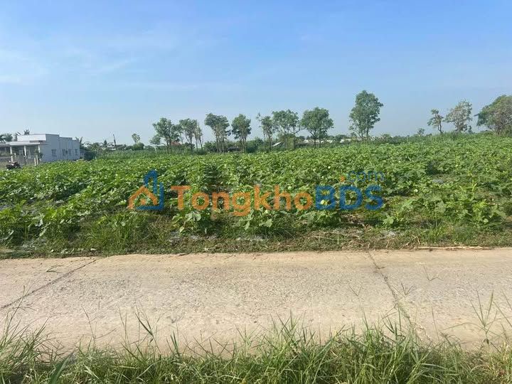 Đất nền Hiệp Trị Bình Nghị 125m² 295 triệu - Đường ô tô
