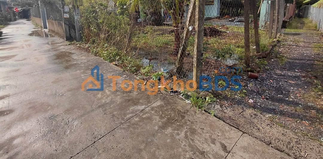 Đất Ấp Thanh Hưng Châu Thành 198m² 650 triệu - Sổ đỏ chính chủ