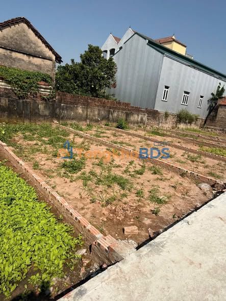 Bán Gấp Đất Thổ Cư Thọ An, Đan Phượng - 41.8m² - 2 Tỷ