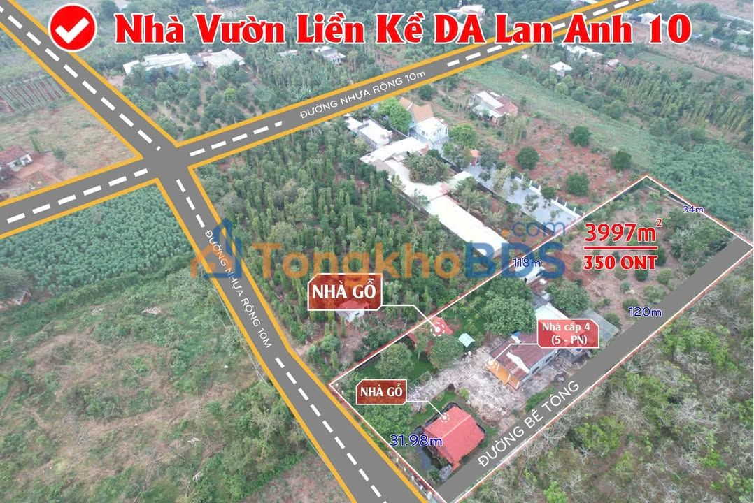 Đất nền Bình Ba Châu Đức 4.000m² thương lượng - Sổ đỏ sẵn