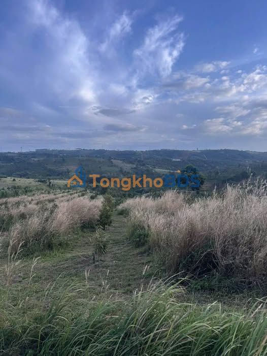 Đất nền Đắk Ha 21ha 27 tỷ - Tiềm năng tăng giá