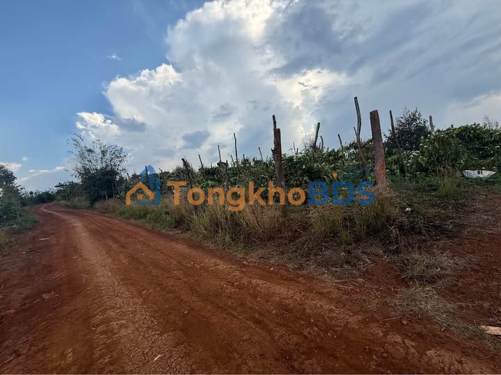 Đất Trường Xuân Đắk Song 1.3ha 1.65 tỷ - Đường ô tô