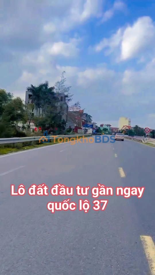 Đất Quang Khải Tứ Kỳ 100m² 2 tỷ - Đường to ô tô kinh doanh
