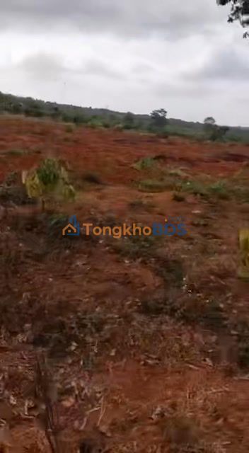 Đất nền Xã AL Bá 14.000m² 7.778 tỷ - Sổ đỏ chính chủ