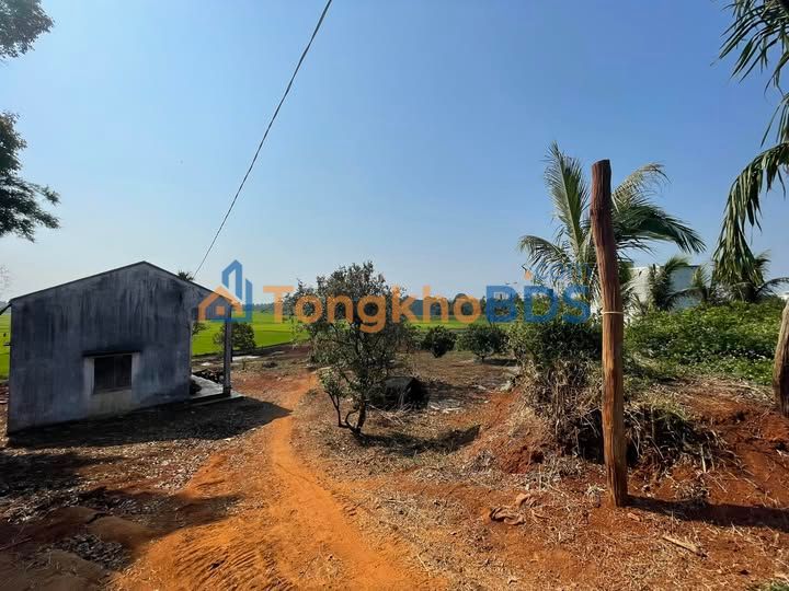 Đất Kim Đồng Chư Sê 546m² 70.98 tỷ - Tiềm năng tăng giá