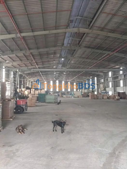 Nhà xưởng Tân Uyên 3.000m² 216 triệu - Hoạt động ngay