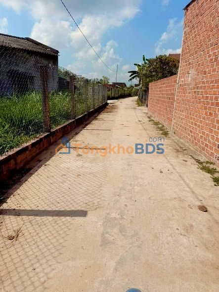 Đất nền 350m² sổ đỏ tại Cát Tân, Phù Cát - Cơ hội đầu tư sinh lời