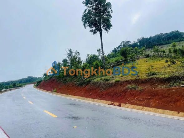 Đất nền Măng Đen 5.000m² 4 tỷ - Tiềm năng tăng giá