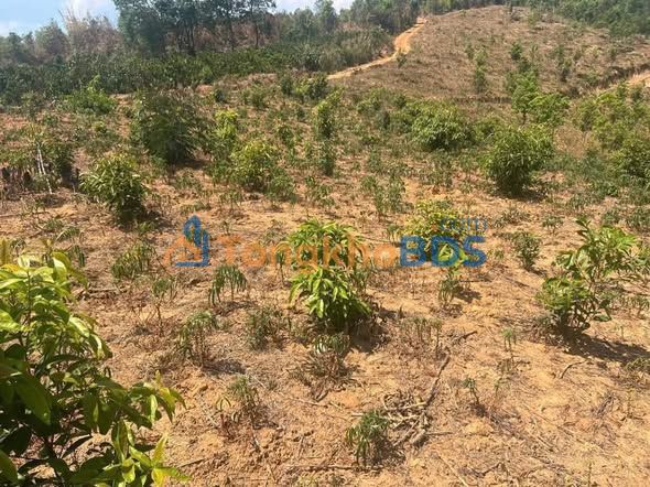 Đất nền Kon Tum Đắk Ngọc 14.401m² giá 0,4 tỷ - Sổ đỏ chính chủ