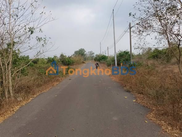 Farm Đá Bạc Châu Đức 10.939m² 16.5 tỷ - Đầu tư dài hạn