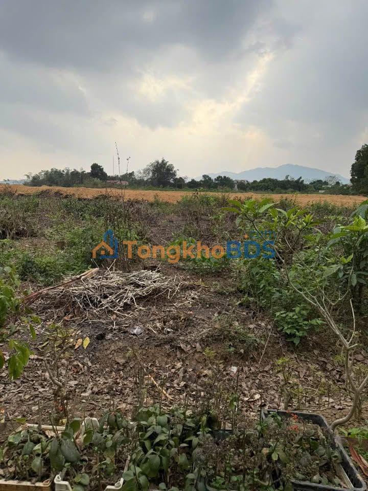 Đất nền An Tường Tuyên Quang 280m² - Sổ đỏ chính chủ