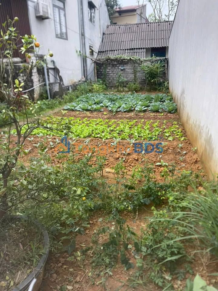 Đất nền Đinh Tiên Hoàng Yên Bái 93m² 1.3 tỷ - Sổ đỏ chính chủ