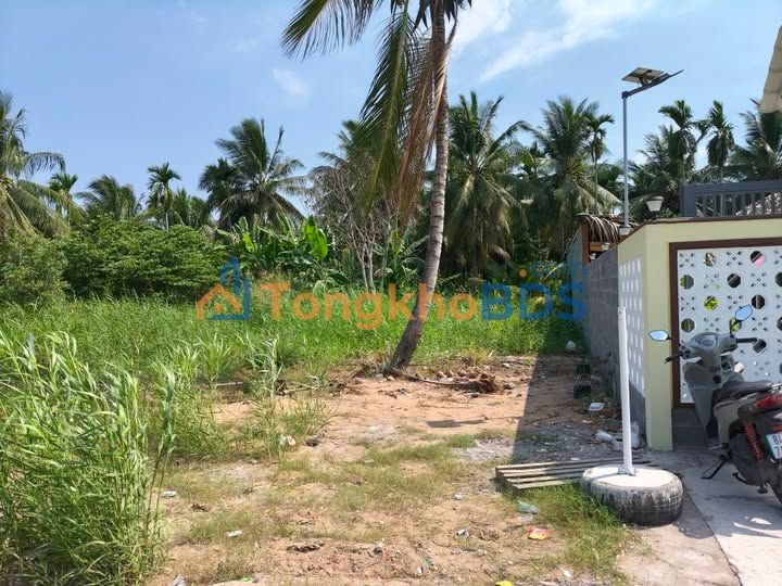 Đất nền Tỉnh 913 Trà Vinh 300m² 2.38 tỷ - Sổ đỏ chính chủ