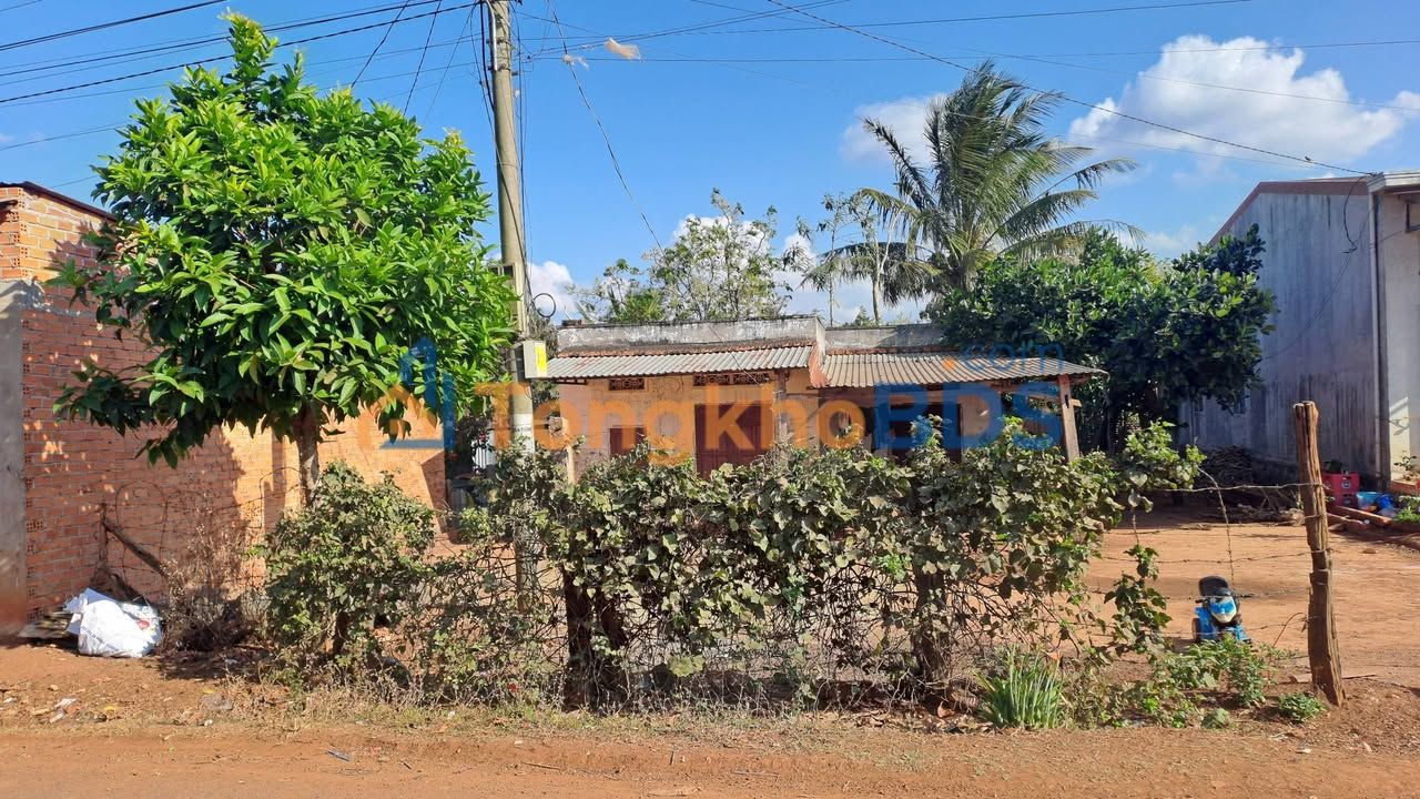 Nhà riêng Ea Drông Buôn Hồ 480m² - Chính chủ bán