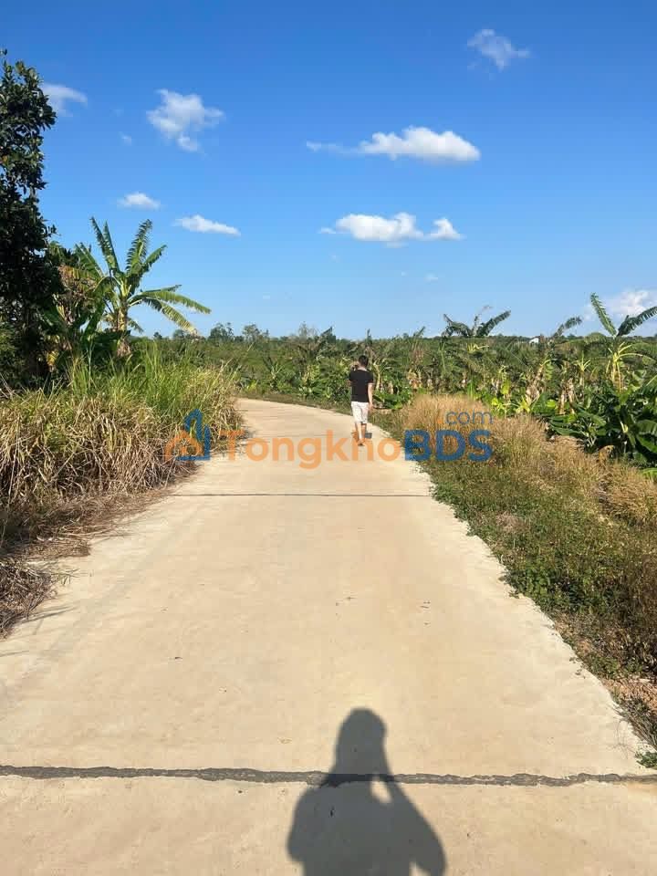 Đất nền Ea Hồ Krông Năng 1,2ha - Đường to ô tô