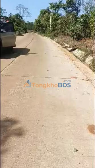 Đất nền Đắk Nông 3ha - Sổ đỏ sẵn, giá 1.5 tỷ/lô