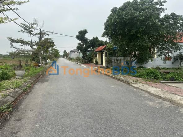 Đất đấu giá Cẩm Hoàn 156m² - Sổ đỏ chính chủ, hướng Nam mát mẻ