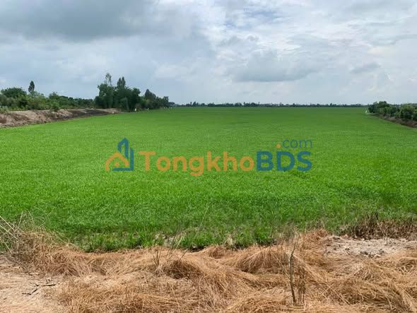 Đất nền An Hòa Sa Đéc 6500m² 2.3 tỷ - Sổ đỏ chính chủ, đường nhựa 35m