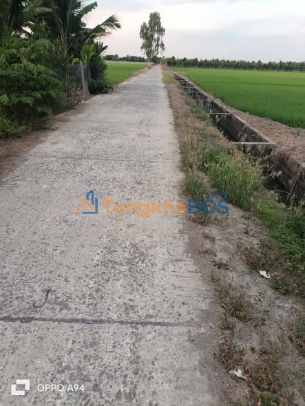 Đất nền Mỹ Đông Đồng Tháp 1.260m² giá 360 triệu - Tiềm năng tăng giá