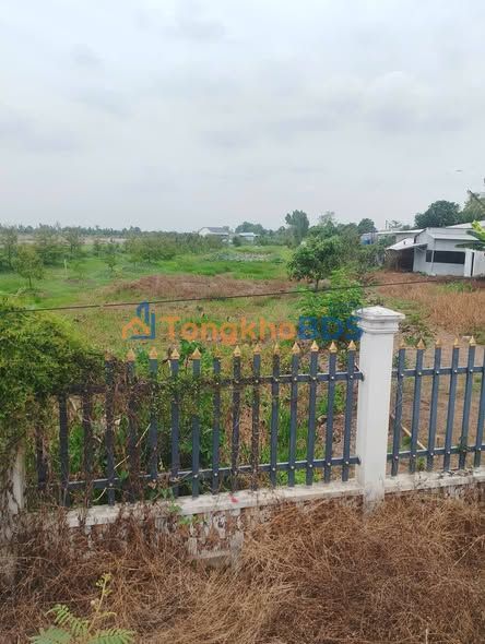 Đất nền Tân Hội Trung Cao Lãnh 1.700m² 600tr - Đường to ô tô