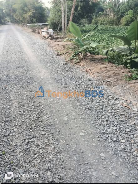 Đất nền Mỹ Hòa Đồng Tháp 232m² 539 triệu - Tiềm năng tăng giá