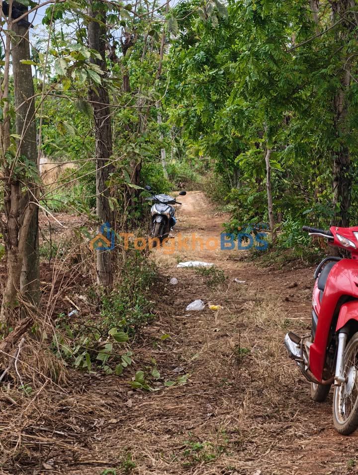 Đất CLN Thôn 8 Cưêbur Buôn Ma Thuột 500m² 430tr - Giá tốt hiếm có