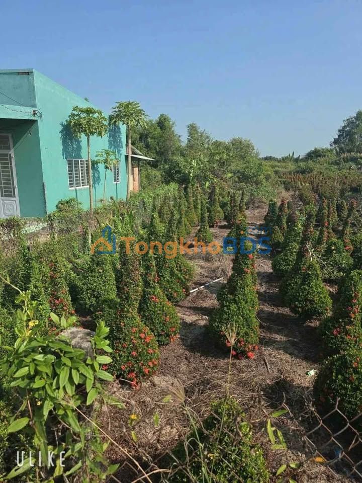 Đất nền Phú Ngãi Trị Long An 350m² 620 triệu - Đất thổ cư 100%