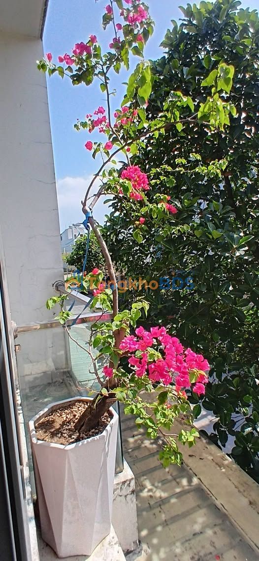 Nhà 3 tầng Dương Tự Minh 62m² 16.9 tỷ - Ô tô vào tận nhà