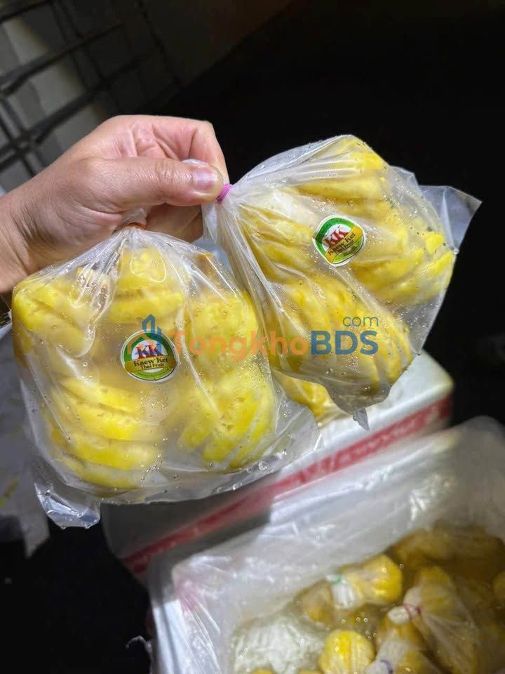 SmallHouseForRent Saigontel 30m² giá 6 triệu - Chính chủ cho thuê ngay