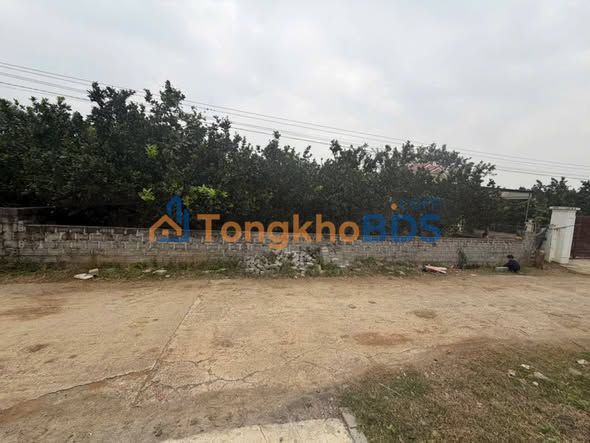 Đất nền Đầm Bai Yên Trị 624m²/1 tỷ - Đường ô tô