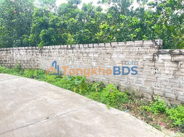 Đất nền Yên Trị Hòa Bình 223m2 500 triệu - Sổ đỏ chính chủ