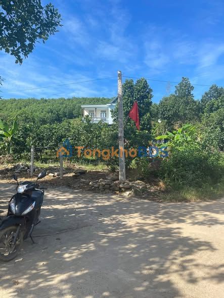 Đất vườn Yên Trị 2.600m² - Cơ hội đầu tư dài hạn