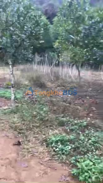 Đất nền Lạc Lương Yên Thủy 2.000m² 2,6 tỷ - Đất thổ cư 100%