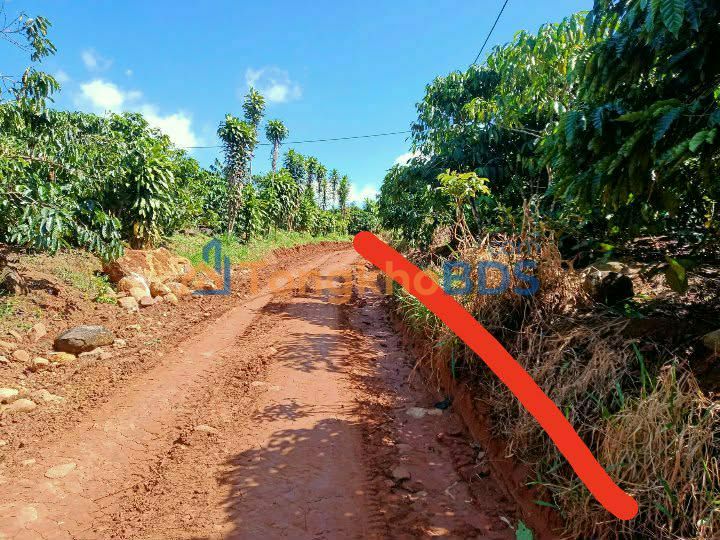 Đất nền Di Linh 540m² 600 triệu - Giá tốt hiếm có