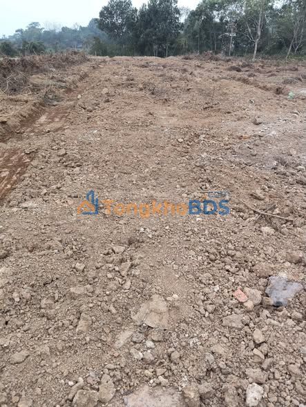 Đất Tản Lĩnh 400m² Sổ Đỏ Full Thổ Cư – Mặt Đường Nhựa Kinh Doanh Tốt