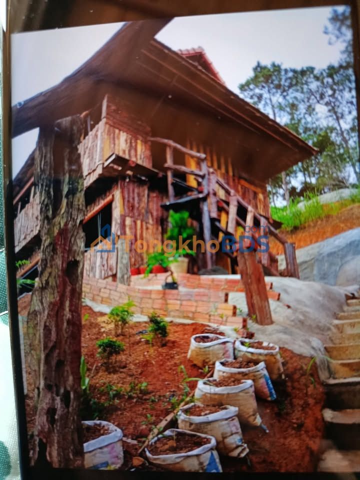 Farmstay Kon Vơng Kia 1.588m² 3 tỷ - An yên tĩnh lặng