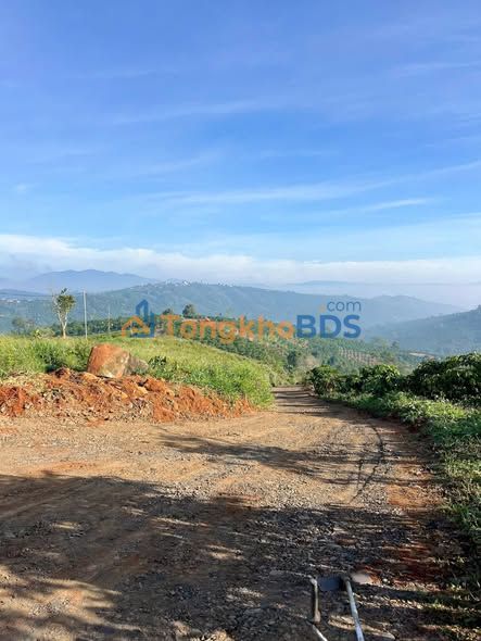Đất vườn Di Linh 2268m2 - Đầu tư dài hạn