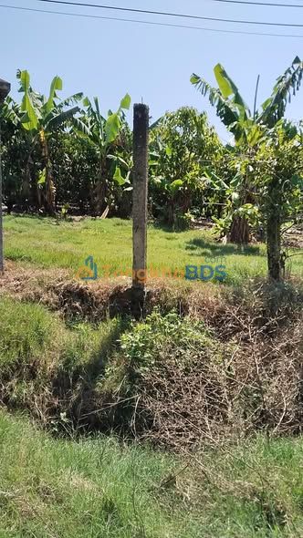 Bán Gấp Đất Rộng 7200m² Mặt Đường Đá Thông Đà Lạt - Giá 1.5 Tỷ