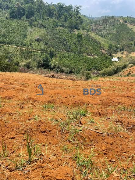 Đất nền Bảo Thuận Di Linh 2.988m² 1,37 tỷ - Sổ đỏ chính chủ