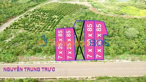 Đất Di Linh Nguyễn Trung Trực 85m² 880 triệu - Giá F0 CĐT