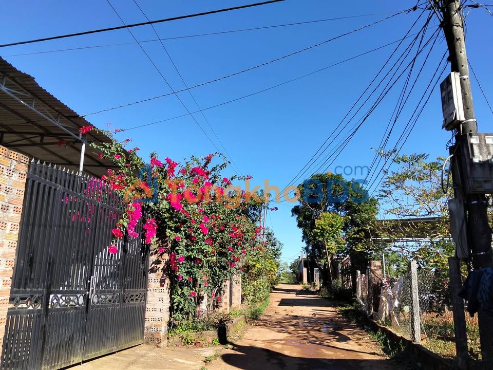 Đất nền Mang Yang 115m² giá 400 triệu - Tiềm năng tăng giá