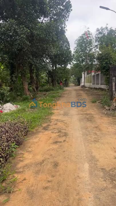 Đất vườn Nông trường Việt Trung 120m² 300 triệu - Đầu tư dài hạn